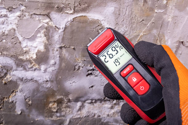 Best Health and Safety Mold Remediation in Stevenson, WA
