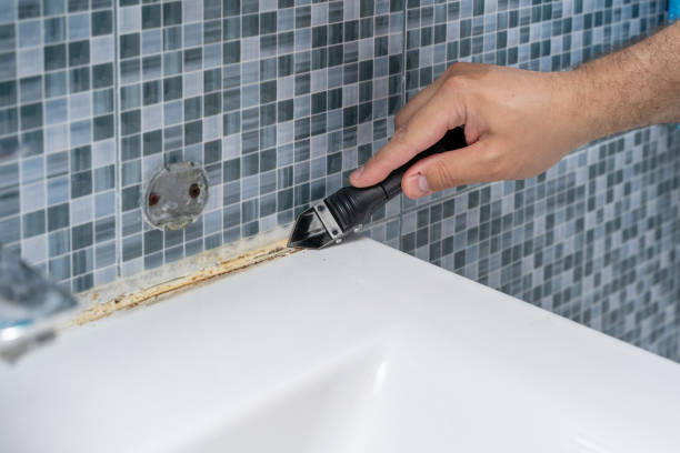 Best Post-Remediation Services in Stevenson, WA